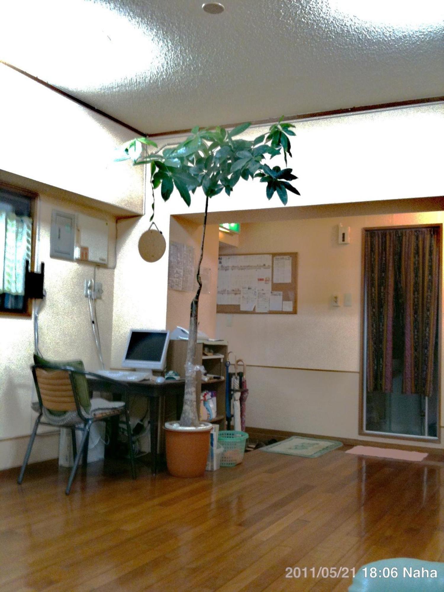 Hostel Hakuseiso Naha Esterno foto